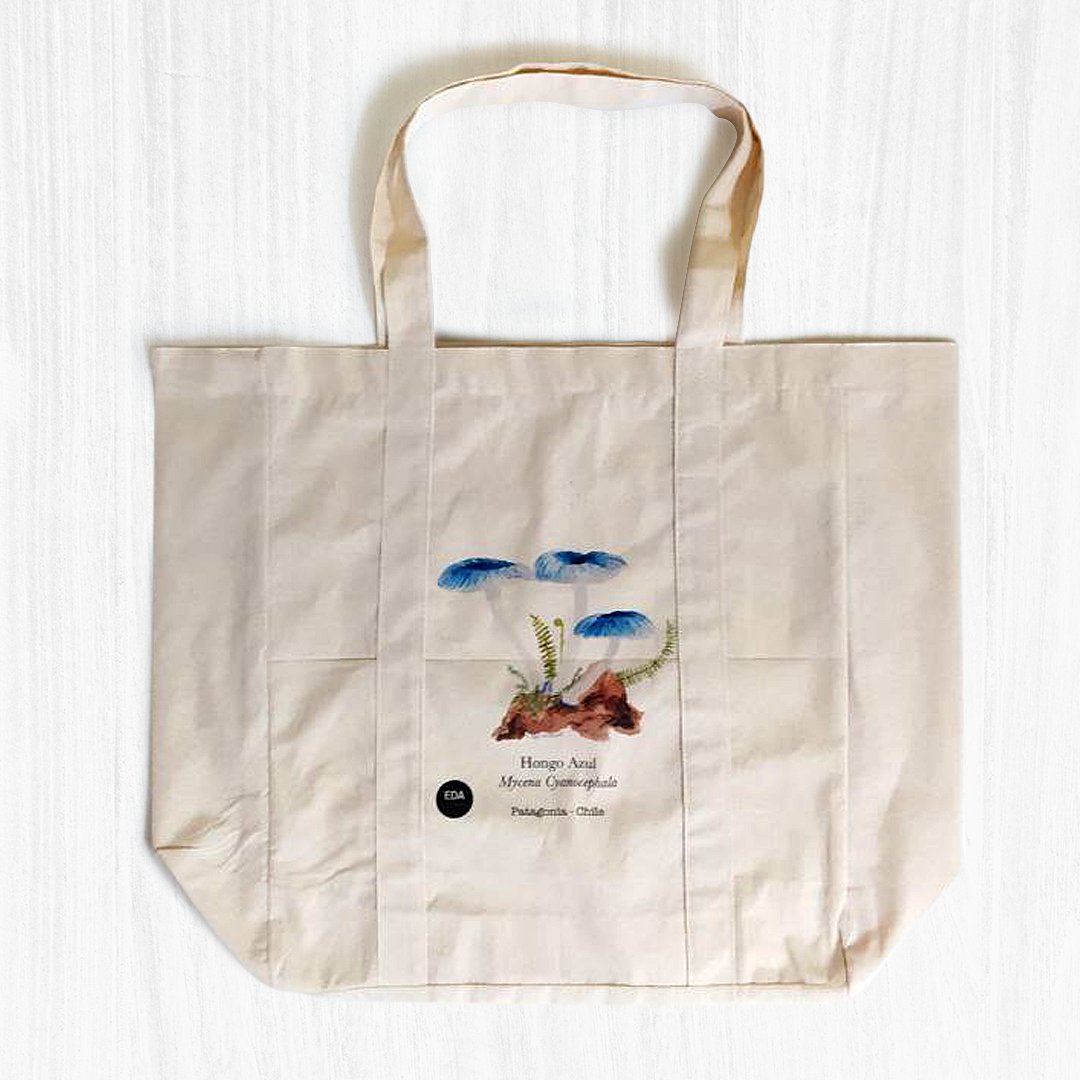 eco3r1's tweet photo. Nuestro modelito "Roble" con impresión directa, será todo un encanto en la Patagonia 🍄🌬️
#EcoBolsas #EcoFriendly #ñuñoa #santiago #somospyme #reutilizable https://t.co/lhyht78WfN