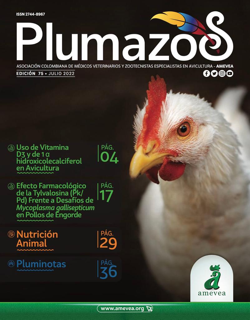 lmgomezPhD's tweet photo. Les dejo el más reciente artículo que publiqué en la revista #Plumazos de @amevea sobre nutrición animal. 

https://t.co/1Od8k2XSLo https://t.co/MvixxkYC1k