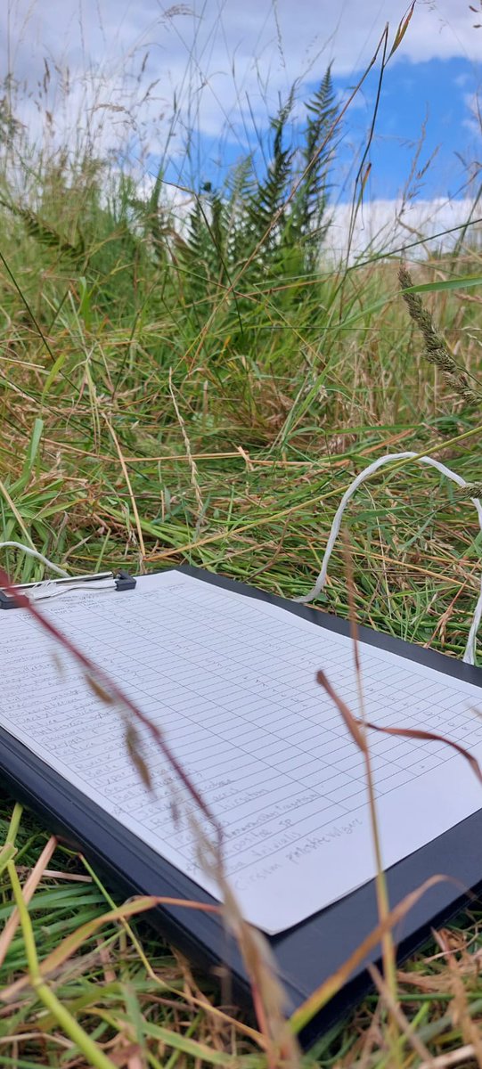 SilvaNova_NNF's tweet photo. Fieldwork 😁 - PhD fellow Davide Barsotti is out doing vegetation 🌱analysis for his project on biodiversity in #afforested #agricultural 🌾 #soils, here in a naturally colonised field for reference. Only 6 more sites to go! 
@novonordiskfond @science_ku @LeidenBiology @unitartu https://t.co/WVynxn6CIo