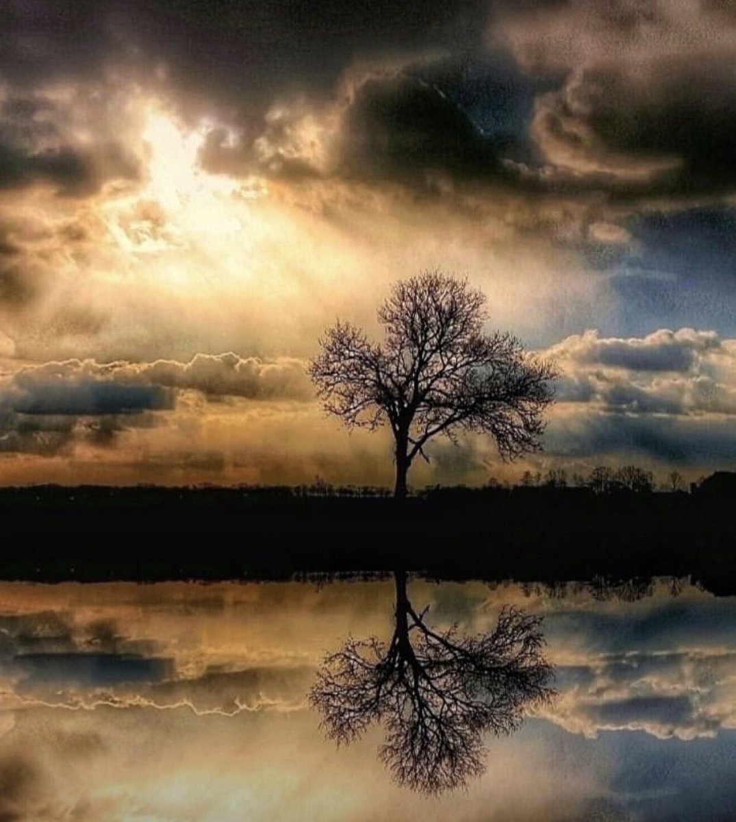 Good night 🌙😴 Good dreams Dear Twitter Friends