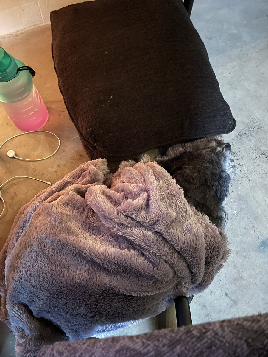 IJaefails's tweet photo. At least she let me put a blanket on her… So anxious with firecrackers and thunderstorms, she’d rather sit on the floor to be closer than use the damn pillow right next to her. #pupperitto https://t.co/O8PTtKLtNn