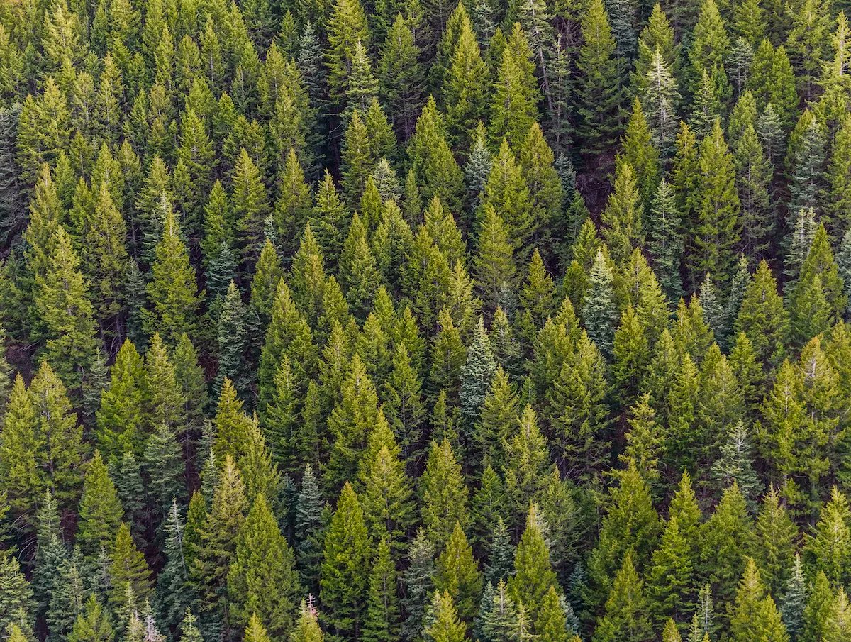 Technical.ly (@technical_ly) on Twitter photo .<a href="/GRASPlab/">GRASP Laboratory</a> agtech spinout <a href="/TreeswiftTech/">Treeswift</a> uses robotics to 'see the planet a different way': The <a href="/PennovationWork/">Pennovation Works</a>-based startup captures, processes and analyzes forestry volume for clients across the US bit.ly/3NGSmX7 .<a href="/GRASPlab/">GRASP Laboratory</a> agtech spinout <a href="/TreeswiftTech/">Treeswift</a> uses robotics to 'see the planet a different way': The <a href="/PennovationWork/">Pennovation Works</a>-based startup captures, processes and analyzes forestry volume for clients across the US bit.ly/3NGSmX7