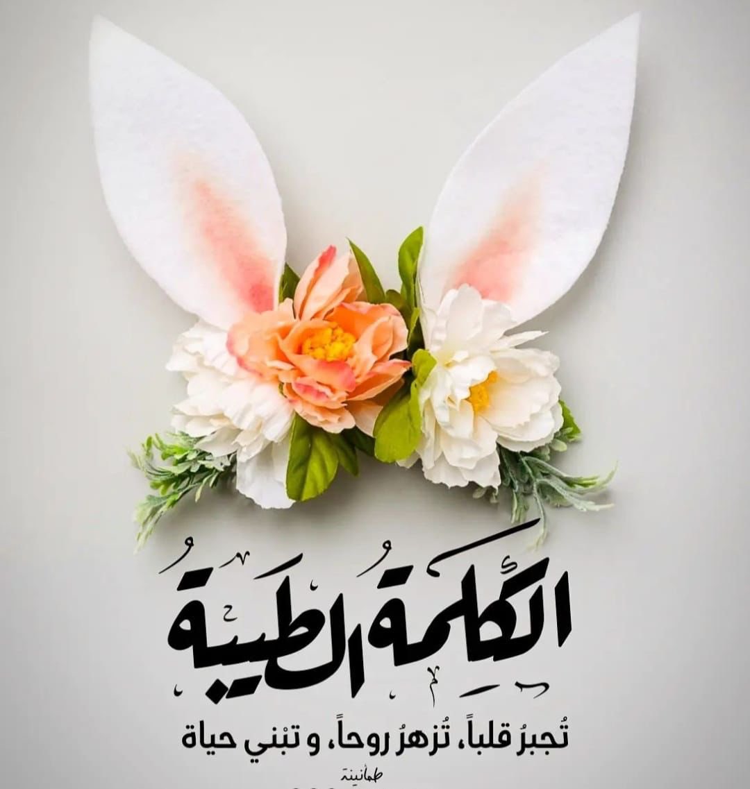 Qatwa5's tweet photo. خل البشر تذكرك بالخير والطيب🍃
 والسمعه "الزينه" رصيد وغنيمه❣️
ان جيت تلقى المسهلا والتراحيب🍃
وأن غبت تمدحك النفوس الكريمه❣️ https://t.co/H3F8ttk6km