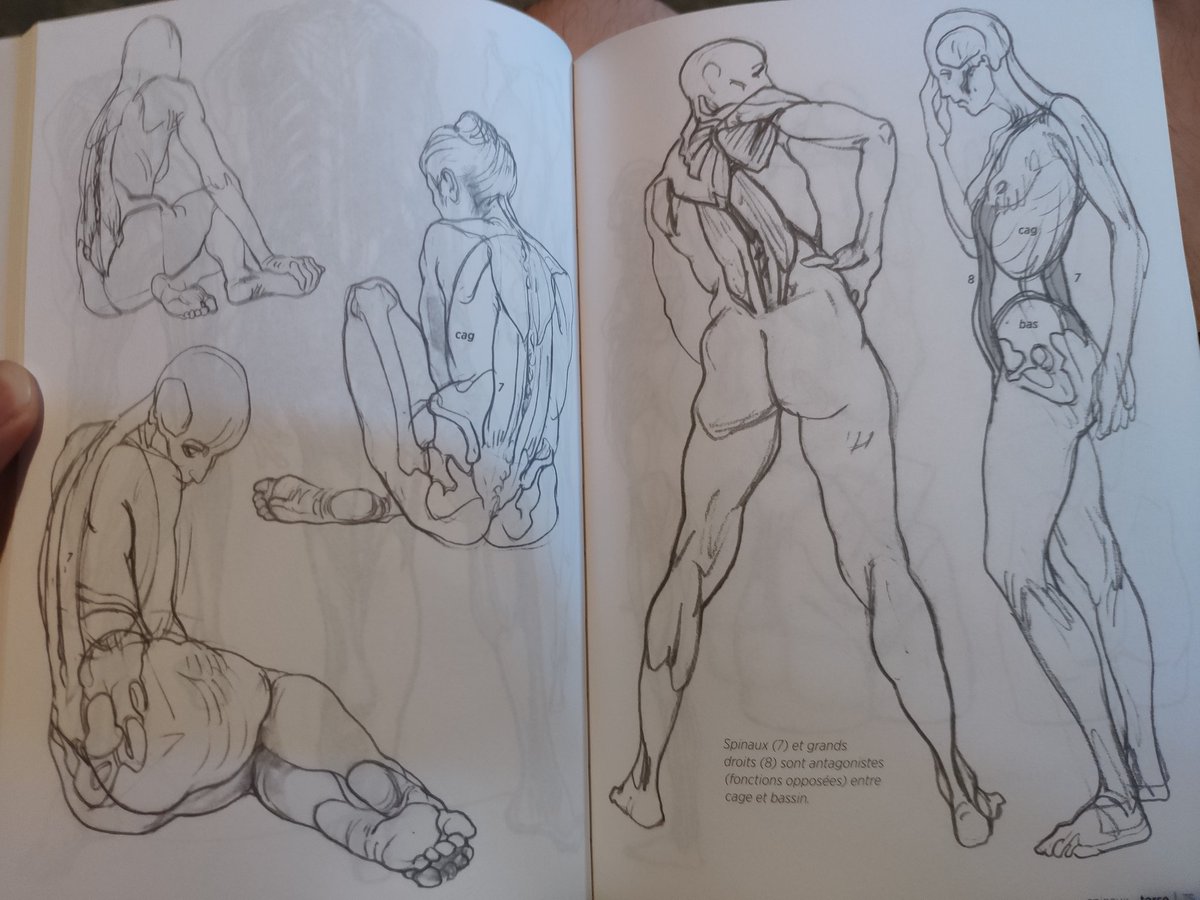 also just bought this sick anatomy art book it's so hard to find books like this in sydney 👌👌 