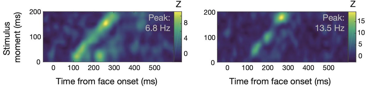 laucaplette's tweet photo. New preprint from my PhD (yes I know, 2.5 years later...)! We disentangled information sampling and processing in the brain, observed that information is rhythmically sampled across stimulus time in early visual areas, and more! 🧵👇 [1/9] https://t.co/3dIVYgVXWV https://t.co/bczp1ZGHzQ