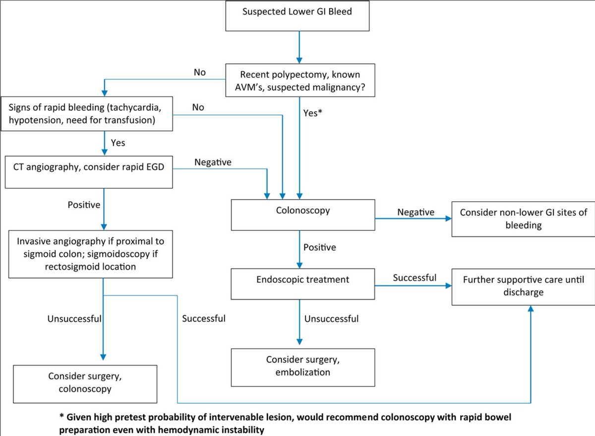 Journal of Hospital Medicine (@jhospmedicine) on Twitter photo 1/ Are you up to date on how to diagnose and treat lower GI bleeding 🩸?
✏️Our clinical progress note by <a href="/GIhospitalist/">Daniel J. Stein, MD, MPH</a> and <a href="/DrJFeuerstein/">Joseph Feuerstein</a> will bring you up to speed! 🏃🏼♀️
This is a #JHMTweetorial 🧵by <a href="/LannaFelde/">Lanna Felde</a>
…mpublications.onlinelibrary.wiley.com/doi/full/10.10… 1/ Are you up to date on how to diagnose and treat lower GI bleeding 🩸?
✏️Our clinical progress note by <a href="/GIhospitalist/">Daniel J. Stein, MD, MPH</a> and <a href="/DrJFeuerstein/">Joseph Feuerstein</a> will bring you up to speed! 🏃🏼♀️
This is a #JHMTweetorial 🧵by <a href="/LannaFelde/">Lanna Felde</a>
…mpublications.onlinelibrary.wiley.com/doi/full/10.10…