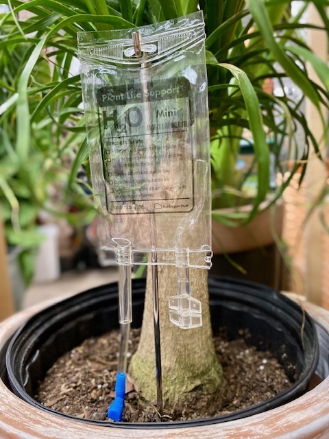 Get ready for 20% all our plants during DC Plant Week, July 6-10, with these great products from Bubblegum Stuff: Plant Name Badges, Houseplant Care Tags, and Mini Plant Life Support for $11.99 and full-size Plant Life Support for $14.99. 🪴