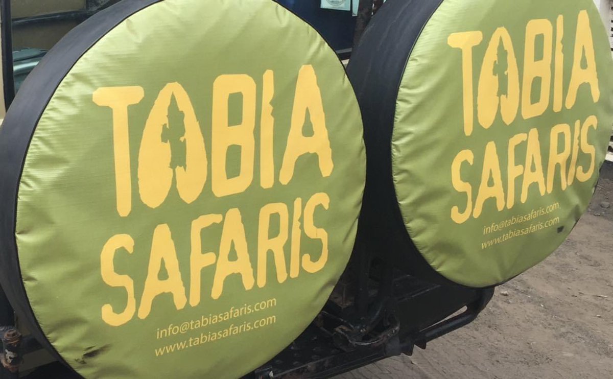 SafarisTabia tweet picture