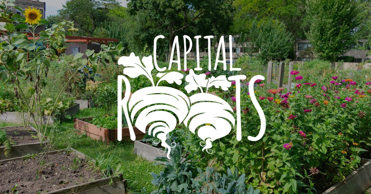 Capital Roots announces formal action to voluntarily recognize employee union. bit.ly/3NEhnCk