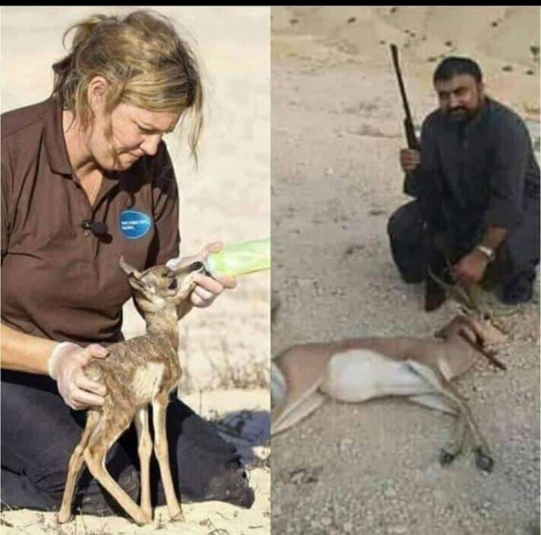 Say Not Hunting Deer💔💔
#Saynothuntingdeer💔