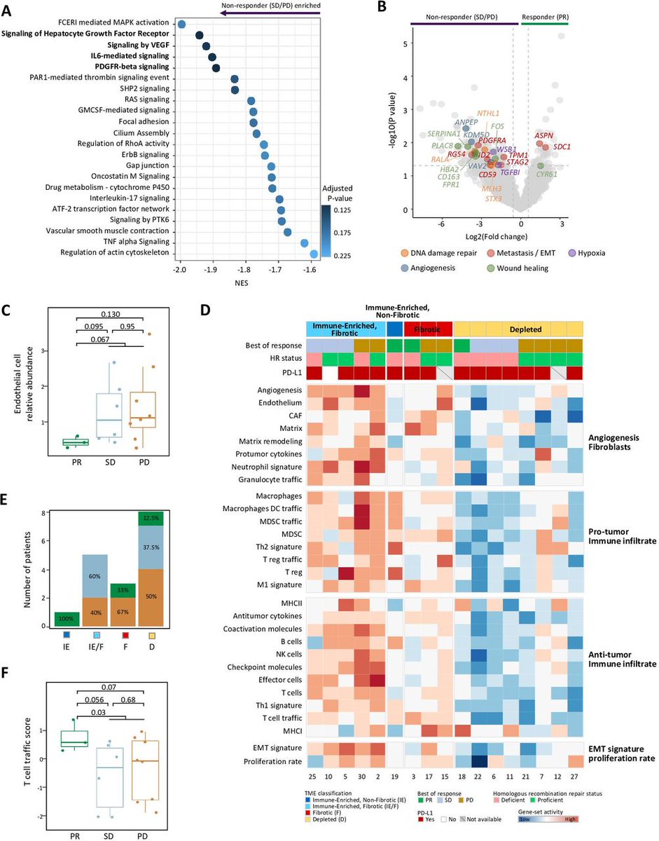 New #JITC article: Phase II study of ceralasertib (AZD6738) in combination with durvalumab in patients with advanced gastric cancer bit.ly/3ONdKeF @JeeyunM @MinsukKwon