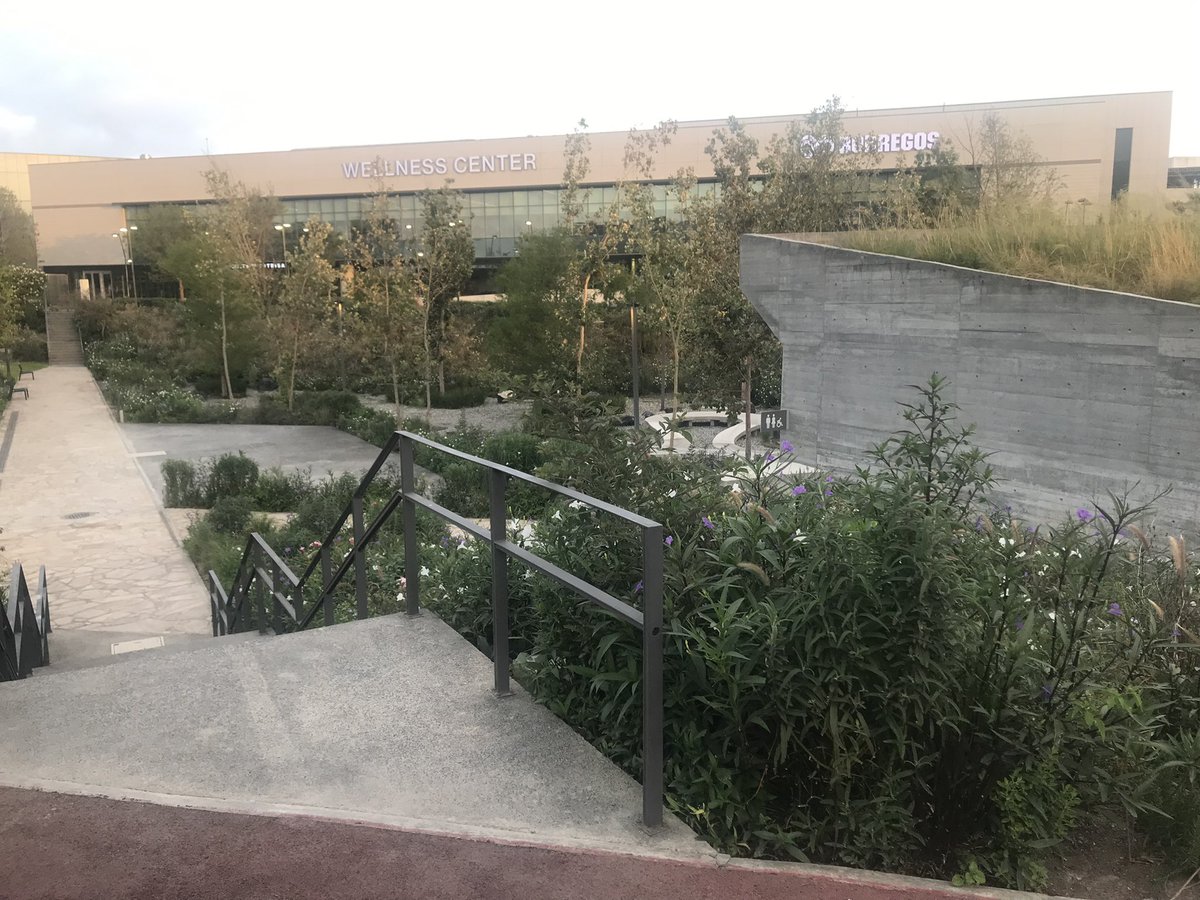 Victor M. Gutiérrez Sánchez tweet media