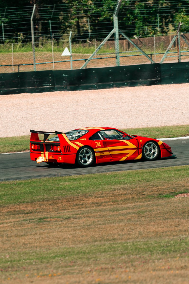 HAVisuals tweet media