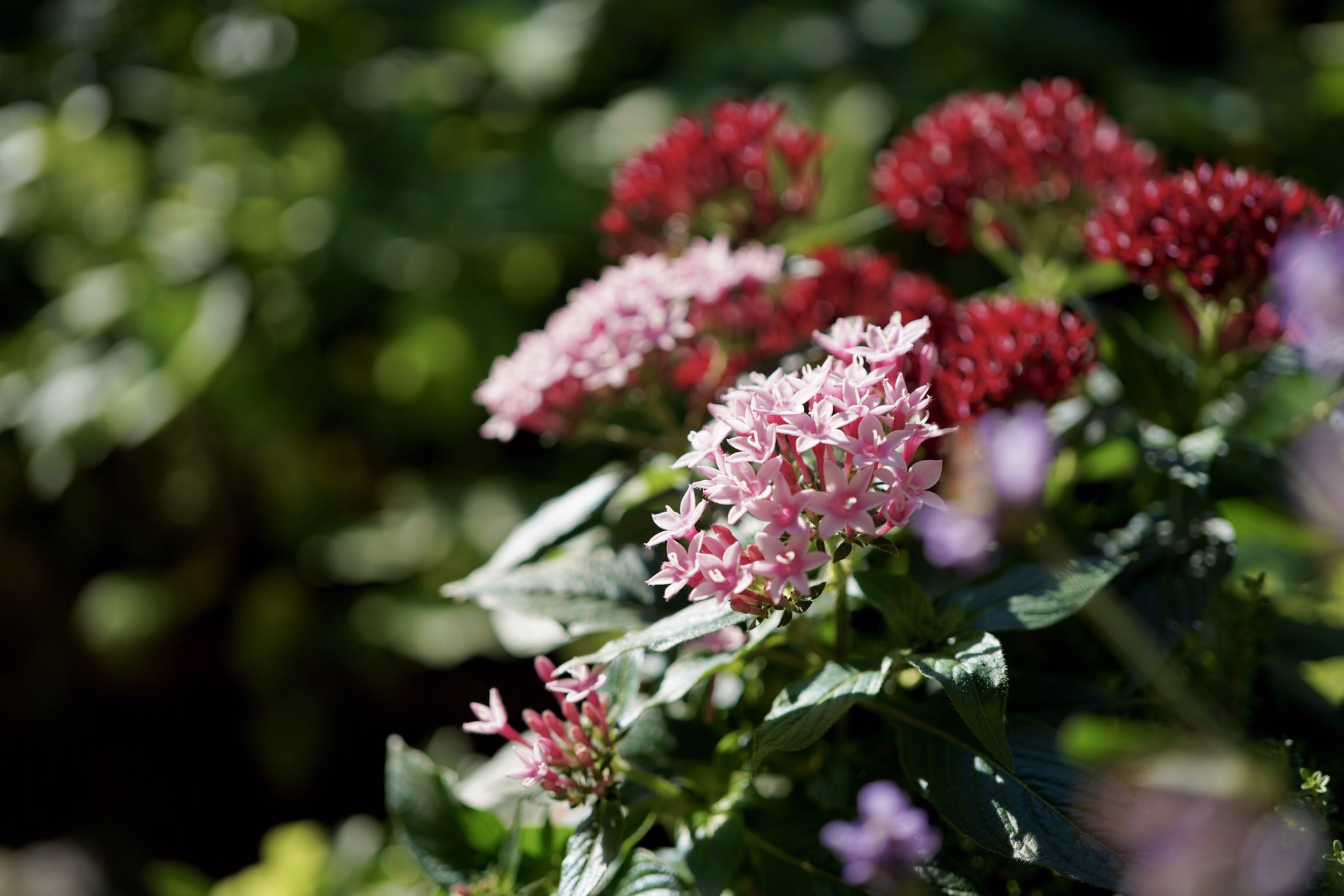 eri (@y9dEDLkXxEcfuWn) / X