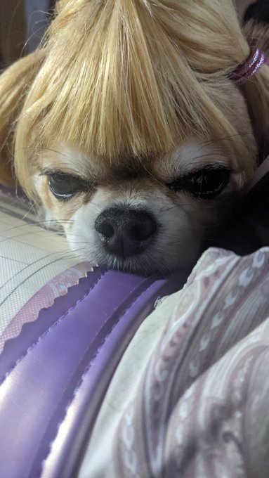 Twitterのコスプレ画像25