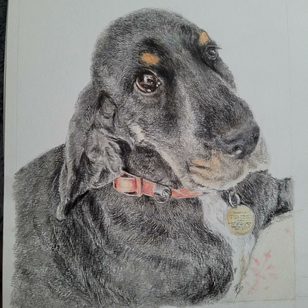 mee_mees's tweet photo. New commission reveal
PM for details
#dogportrait #petportraits #portraits #cutestface https://t.co/nDAJtkmLkk