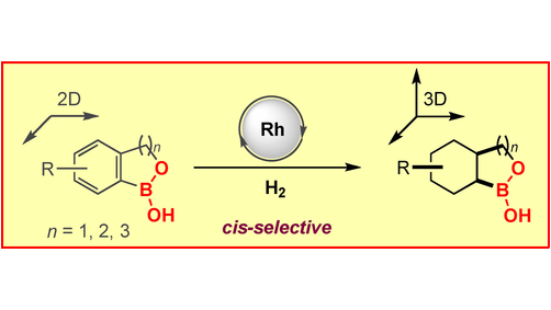 Access to Unexplored 3D Chemical Space: cis -Selective Arene Hydrogenation for the Synthesis of Saturated Cyclic Boronic Acids (Glorius) <a href="/GloriusGroup/">Glorius Group</a>  <a href="/AKaithal/">Akash Kaithal</a> #openaccess thanks to #projektDEAL onlinelibrary.wiley.com/doi/10.1002/an…