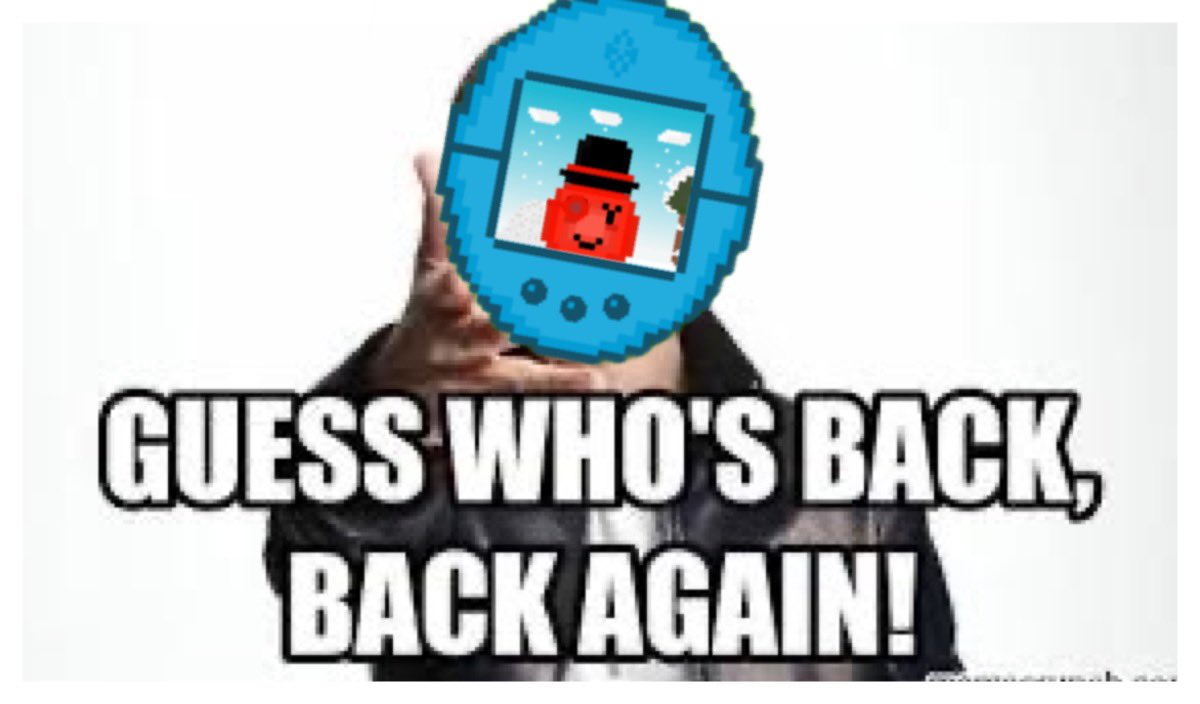 Last 24hours a 1000% raise from floor!