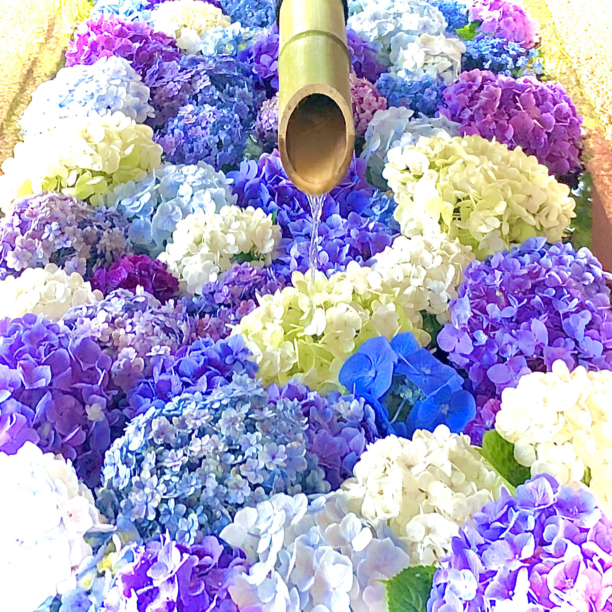 ぬぅ Nu0mochi Twitter