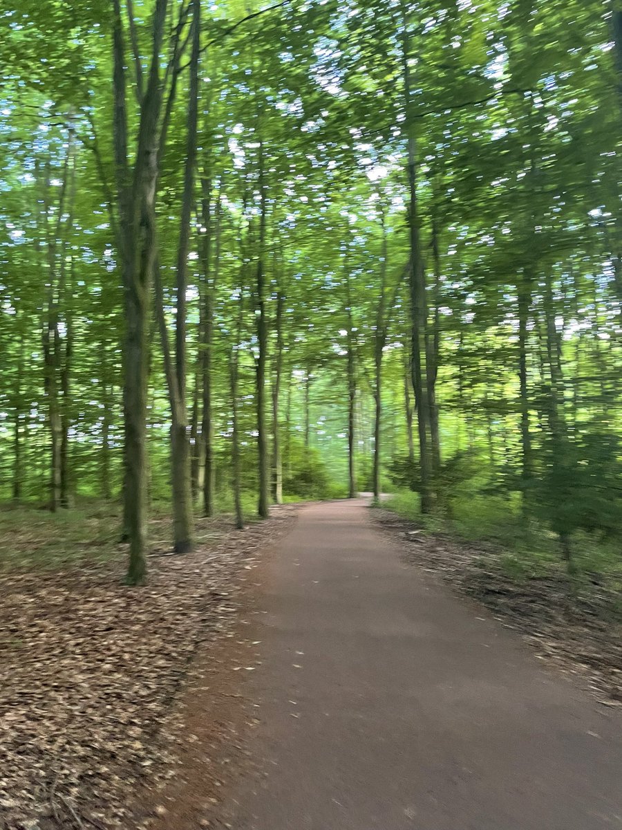 Vanavond mooi rondje Weelenpad gelopen met John!

Zaterdag de ROLLERCOASTER RUN in Walibi om geld op de halen voor onderzoek naar kanker.

Mij steunen met een donatie is leuk 
fightcancer.nl/fundraisers/da…
.
.
#kwf #fightcancer #kankeronderzoek #walibi #rollercoasterrun