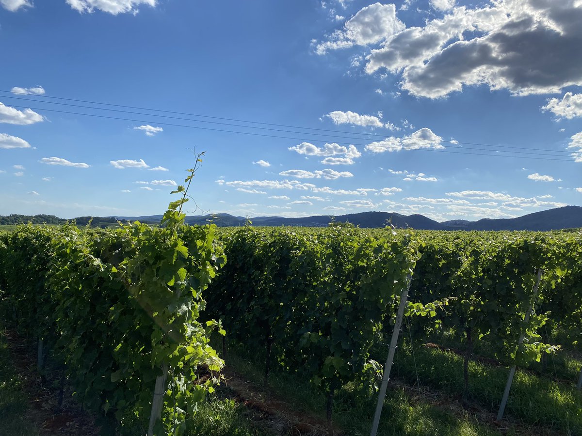PalatinateBand's tweet photo. Die #Pfalz #Palatinate https://t.co/cmZsyimbUF https://t.co/mOALL54FIw