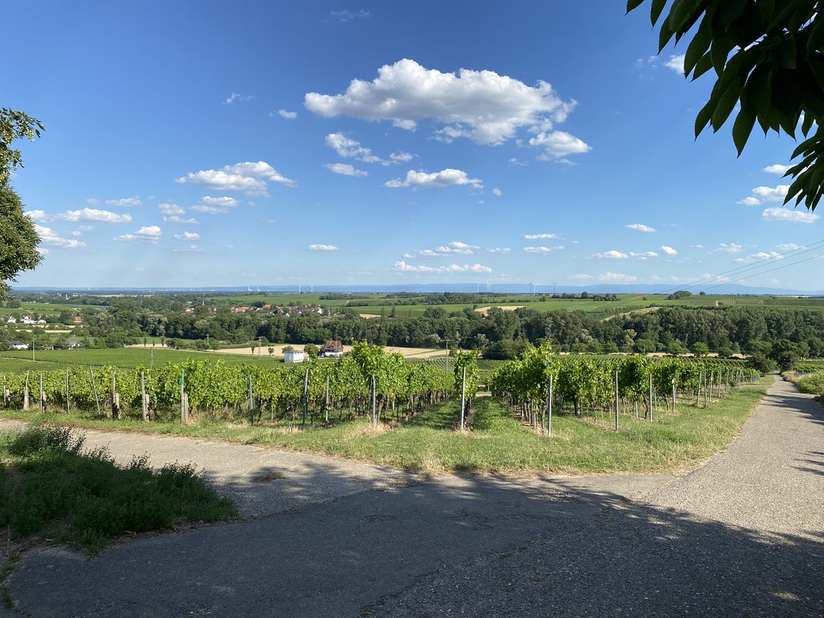 PalatinateBand's tweet photo. Die #Pfalz #Palatinate https://t.co/cmZsyimbUF https://t.co/mOALL54FIw