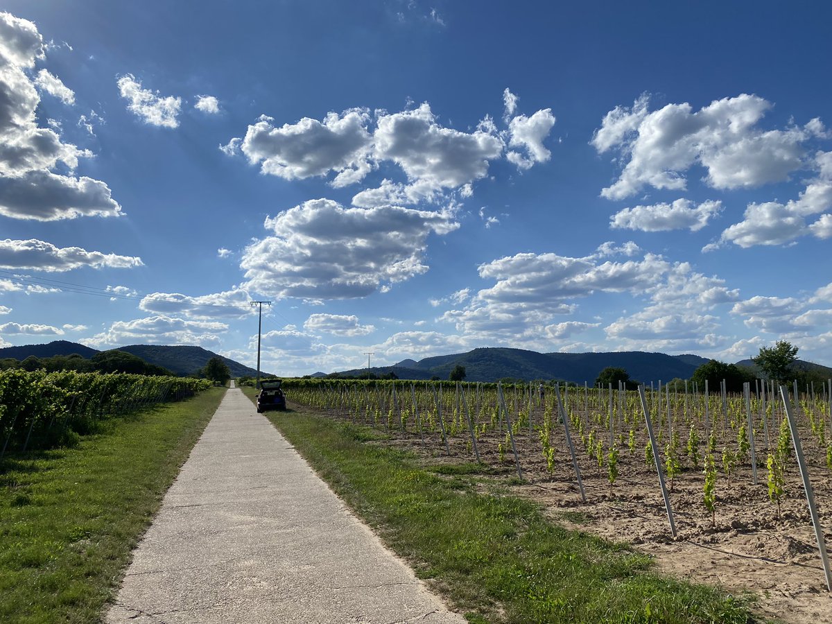 PalatinateBand's tweet photo. Die #Pfalz #Palatinate https://t.co/cmZsyimbUF https://t.co/mOALL54FIw