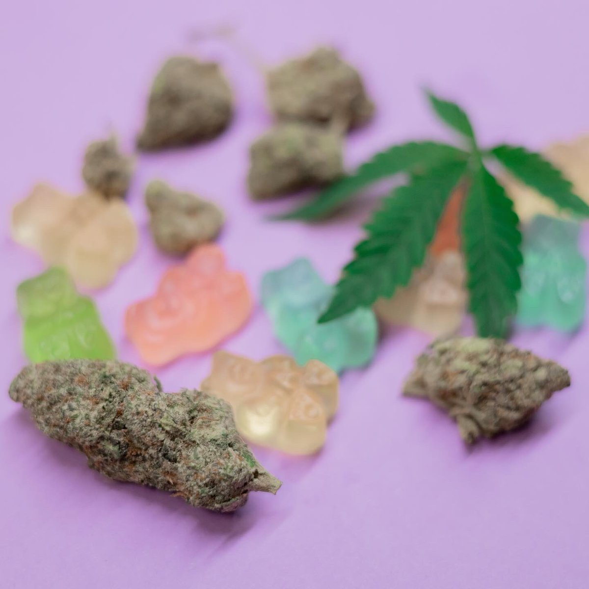 WithLoveSara4's tweet image. Buds, gummies or juice? #StonerFam #420hunny #420life #Mmemberville #cannabisculture #STONER #StonerFam #cannabissociety #stonerthoughts #420friendly