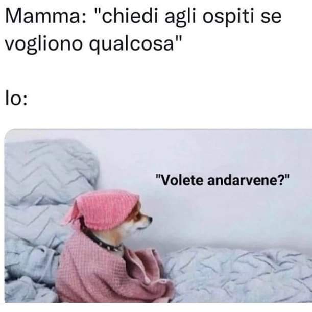 alexepriska's tweet photo. Oggi così #orsogrizzly #needsilence #peace #silence #nepasdéranger #donotdisturb https://t.co/v6L7IJAxHr
