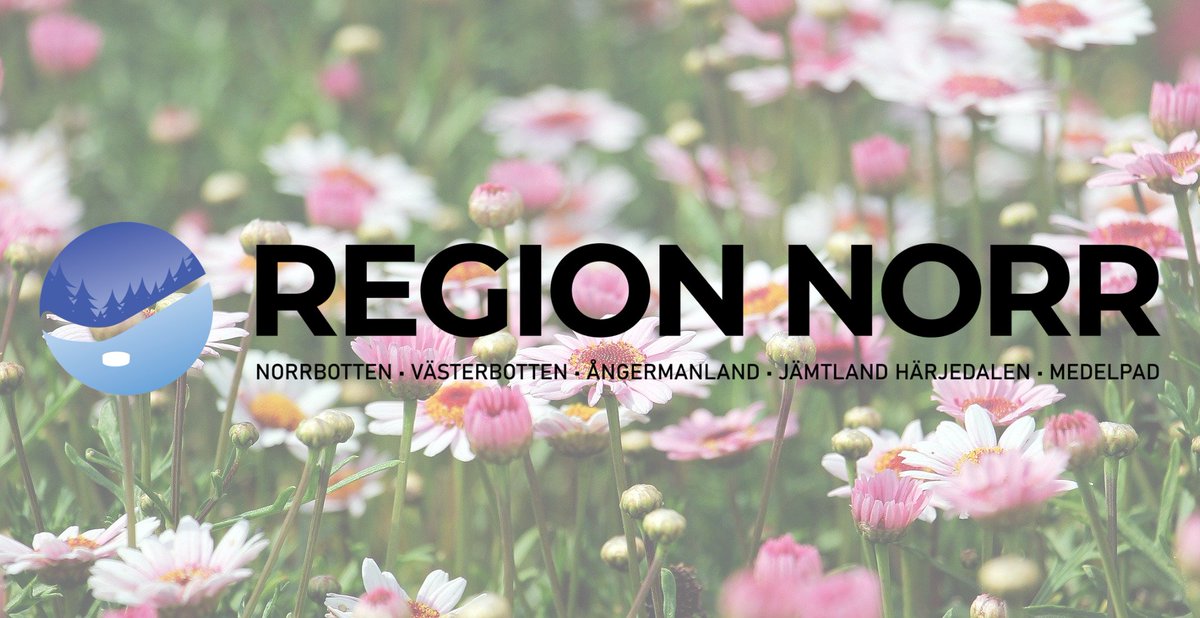 RegionNorr's tweet photo. Sommarhälsning https://t.co/GocYKSTRH3 https://t.co/YOHNdj6V4G