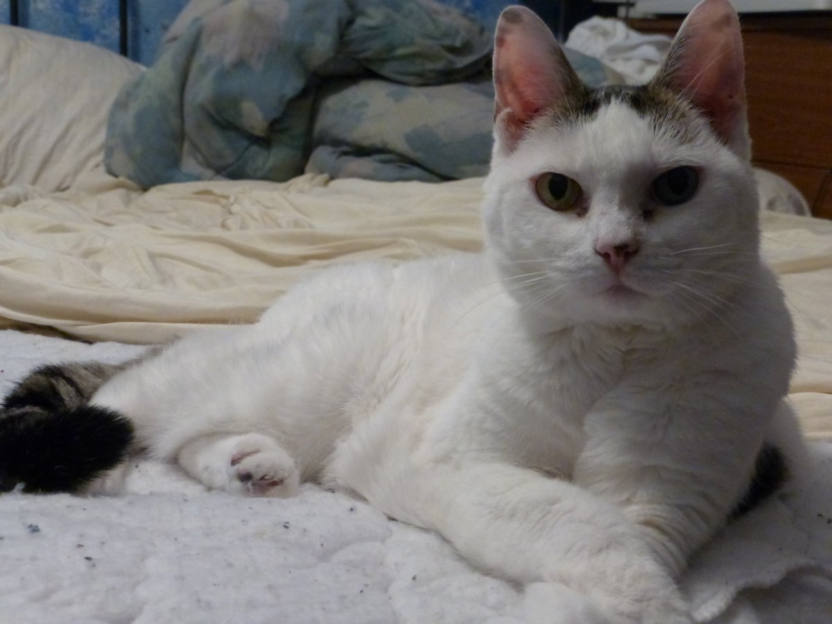 .

Thalia Lly Duvall died in 2017.

She would have been 21 years old today (July 5, 2022).

Here's a photo from July 16, 2014.