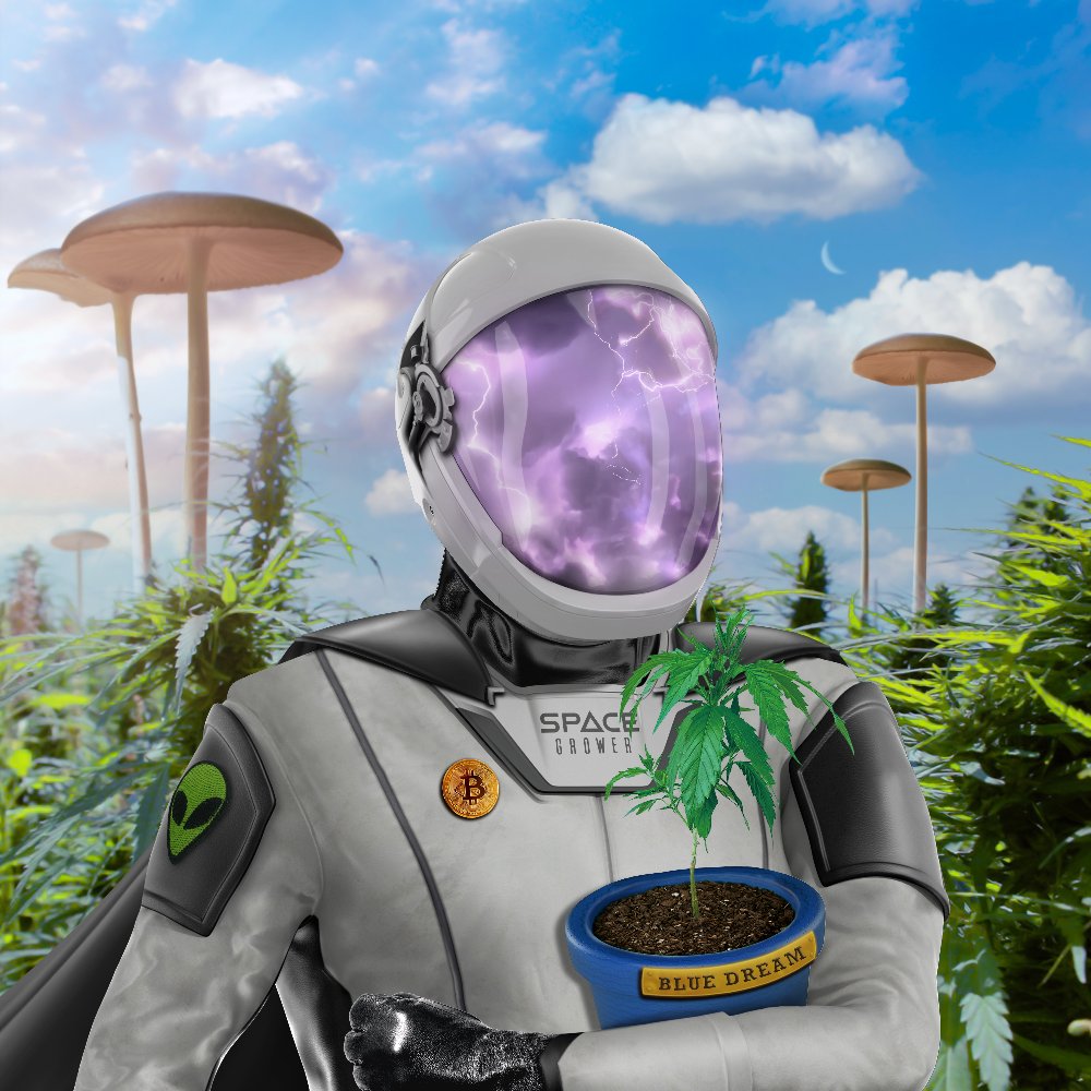 SpaceResist_NFT's tweet photo. Space Resistance 

Keeps fighting! 🚀🔥 👩‍🚀🍀 https://t.co/MvTZOm8P87