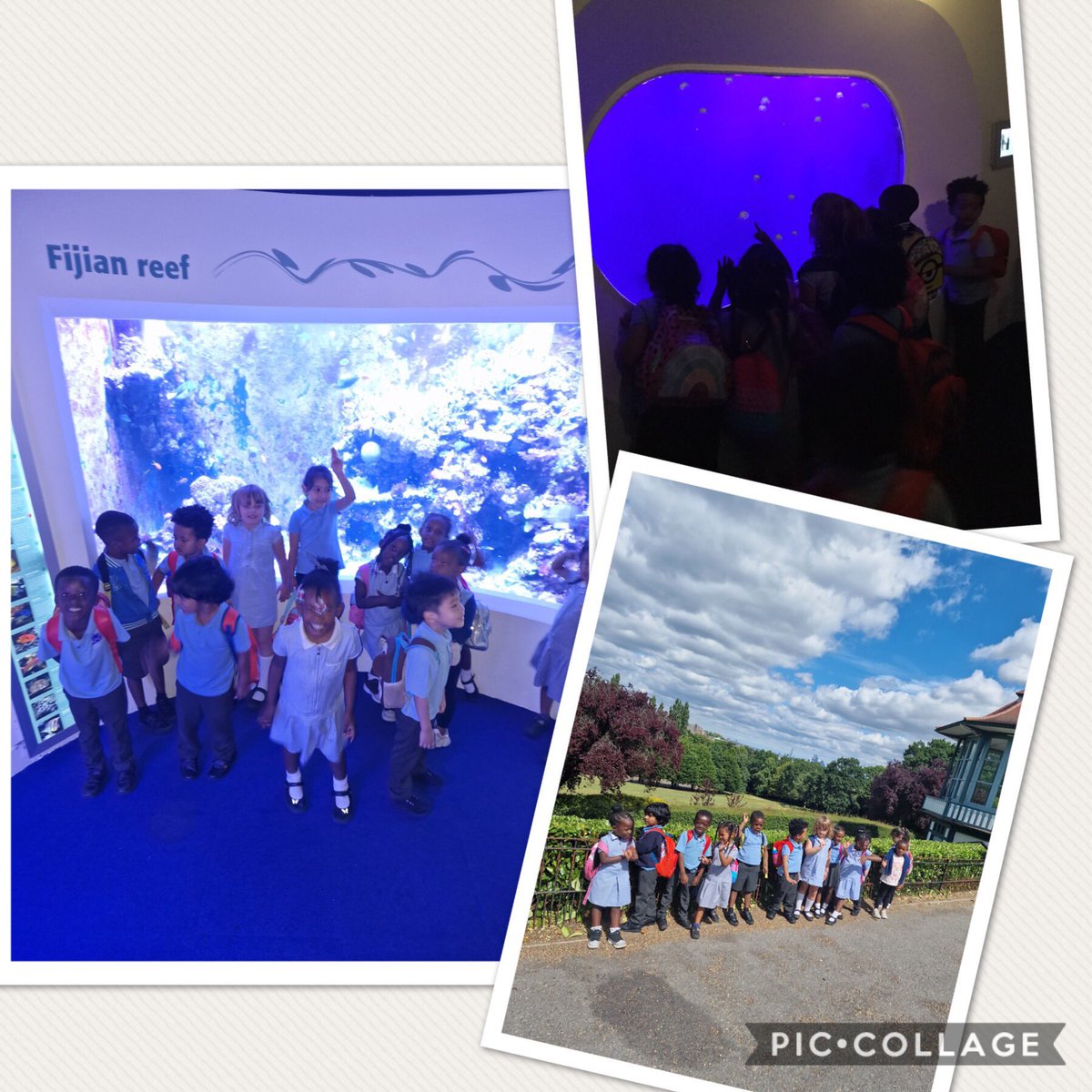 Christchurchsw9's tweet photo. Oak class had a wonderful time @HornimanMuseum seeing the aquarium and the animals. Thank you for having us! Fish๐๐ #hornimans #SW9Partnership https://t.co/yCNikkfFZk