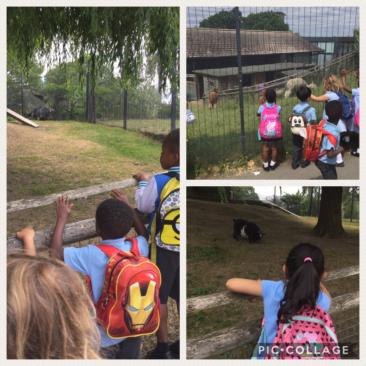 Christchurchsw9's tweet photo. Oak class had a wonderful time @HornimanMuseum seeing the aquarium and the animals. Thank you for having us! Fish๐๐ #hornimans #SW9Partnership https://t.co/yCNikkfFZk