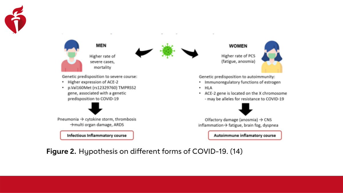 AHAScience's tweet image. 10/ Other analyses reported PASC rates of 30–60% in patients with asymptomatic or mild forms of COVID-19 & more commonly among women (avg 60%). (14,15) Reasons for gender differences are possibly related to genetic predisposition to severe disease (men) vs autoimmunity (women).