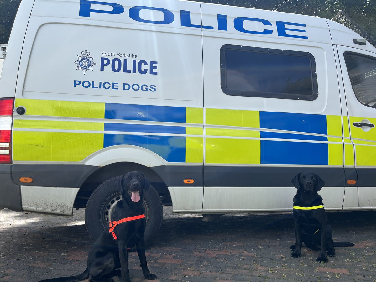 These dogs are truly amazing. Over the past 2 days, Reqs has successfully passed his annual certification which deems him operationally competent for another year & trainee #FireDog Loki is now successfully locating his 1st substance (petrol). #SuperProud #WorkingDogs #SearchDogs