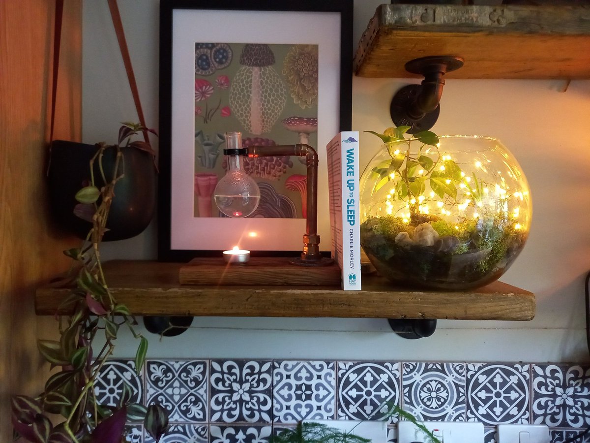 Victoriasherbal's tweet photo. @charliemorley1 The perfect place for #charliemorley new BOOK #wakeuptosleep #luciddreaming https://t.co/jPhyT055zp