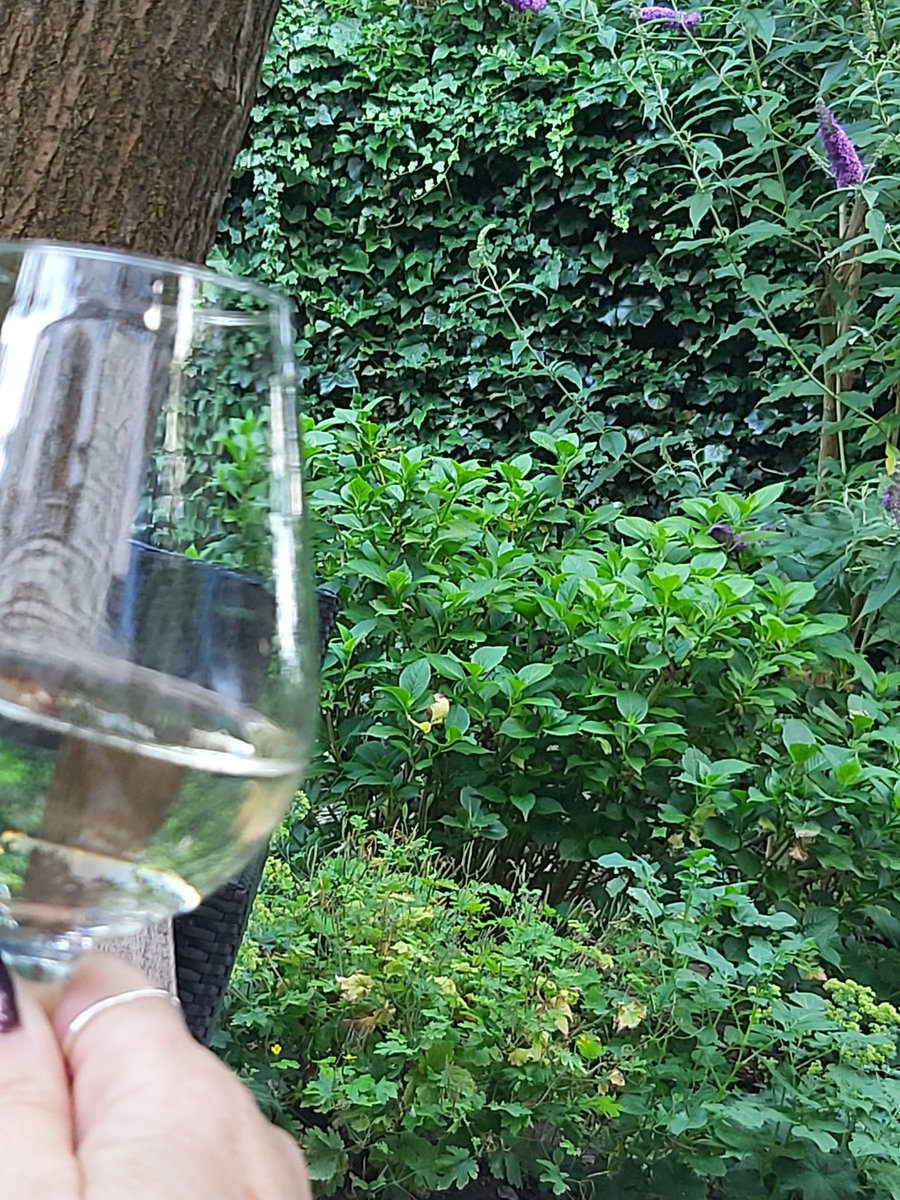 MissNoNickName's tweet photo. Omdat het bijna vakantie is #magut https://t.co/Lju2JCZNfB