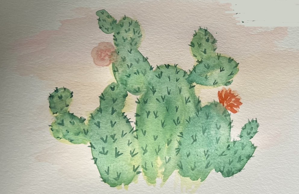 apmeyer11's tweet photo. Some recent watercolors I’ve done https://t.co/xlz8bW6JXk