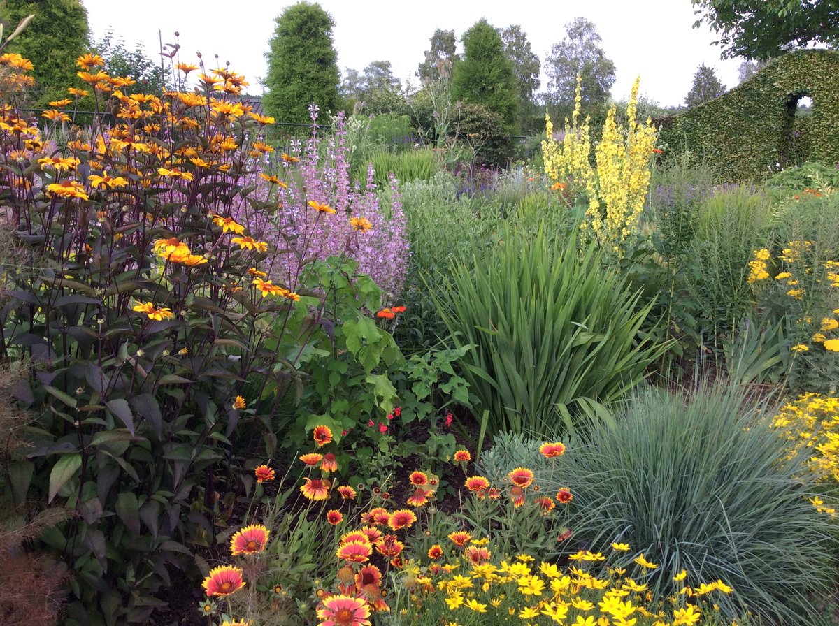 op_zand's tweet photo. Zomertuin in volle bloei! Ik kan hier zo van genieten! Niet alleen van de bloemen maar ook van alle beestjes die hier zoemen en fladderen.
#mijntuin #tuinieren #zomertuin https://t.co/vOfL86aDmJ