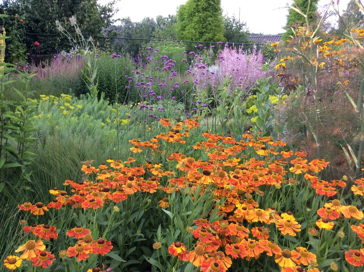 op_zand's tweet photo. Zomertuin in volle bloei! Ik kan hier zo van genieten! Niet alleen van de bloemen maar ook van alle beestjes die hier zoemen en fladderen.
#mijntuin #tuinieren #zomertuin https://t.co/vOfL86aDmJ