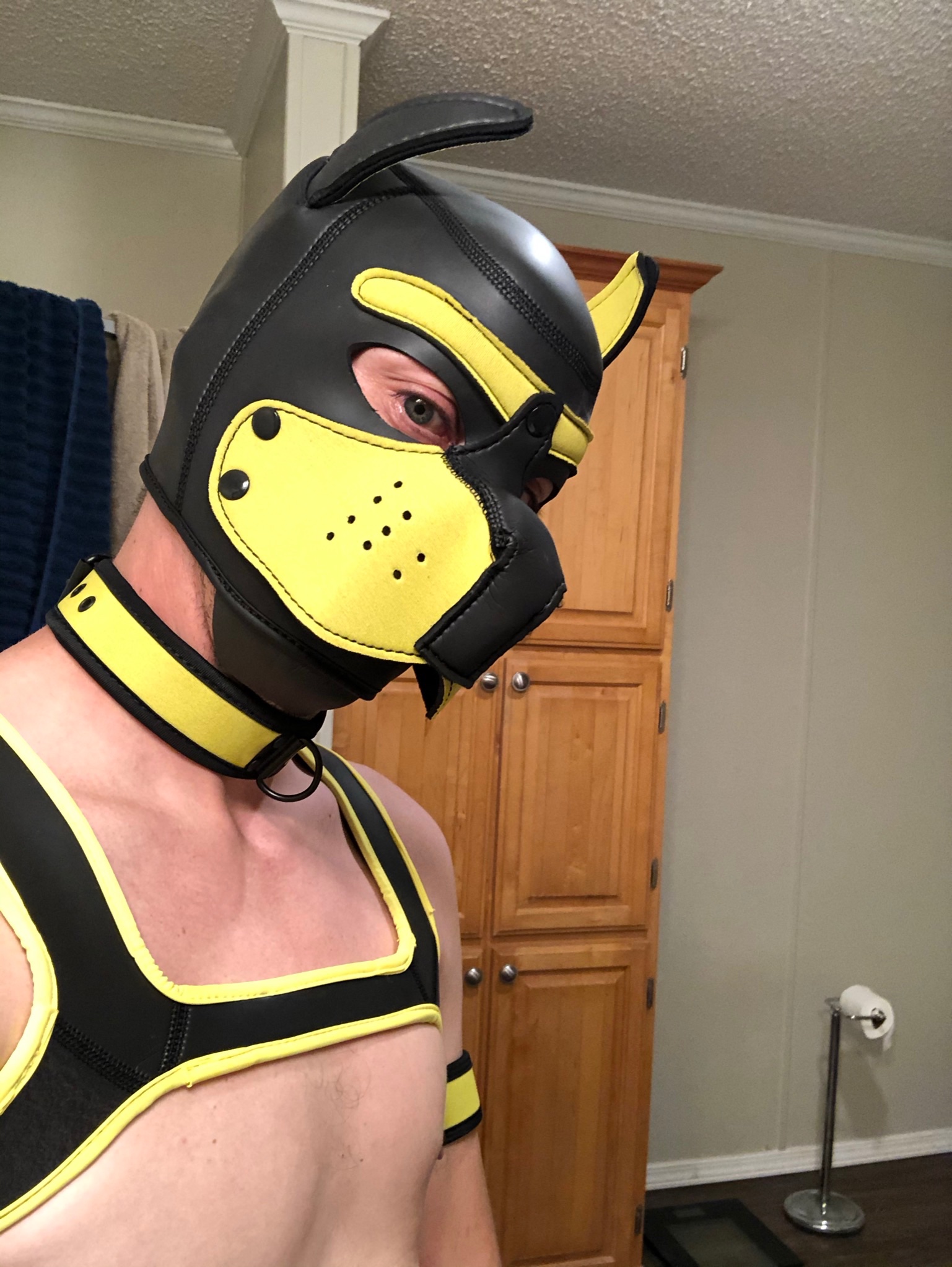 Woof ? https://t.co/ufKVpL3GFq