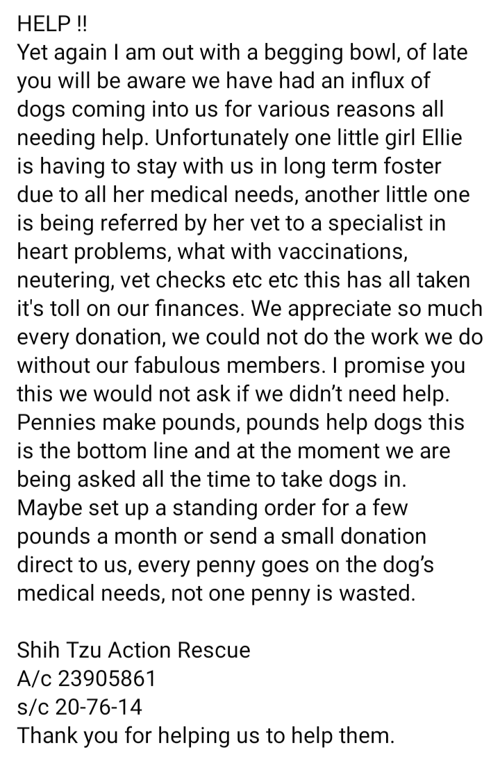 Shih Tzu Action Rescue (STAR) UK tweet media