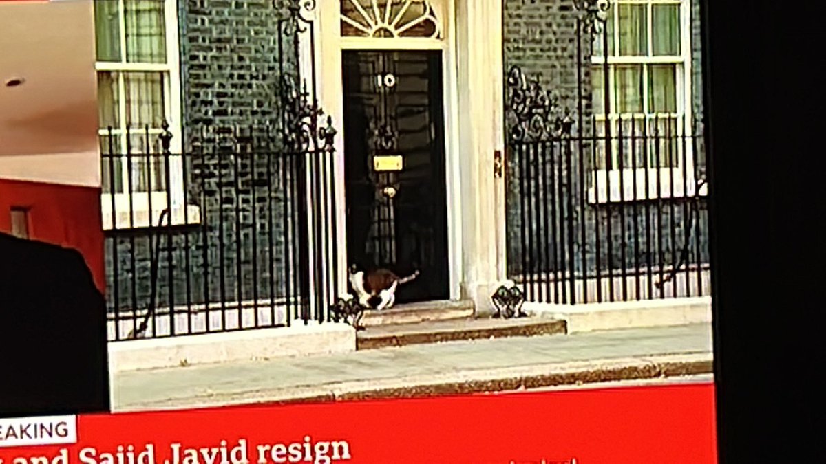 jamieyeldham's tweet photo. . @No10Cat next up to resign. Get in the bin, Boris https://t.co/mt90fbd6vT