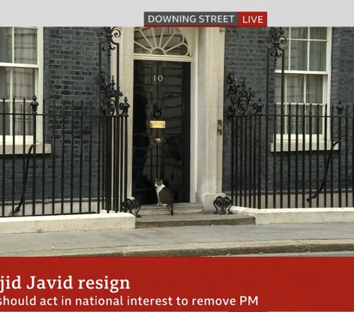 johnrandles's tweet photo. Even Larry the cat looks like he’s having doubts about staying #bbcnews #resignations #rishi #savid https://t.co/mi5nyWvsLu