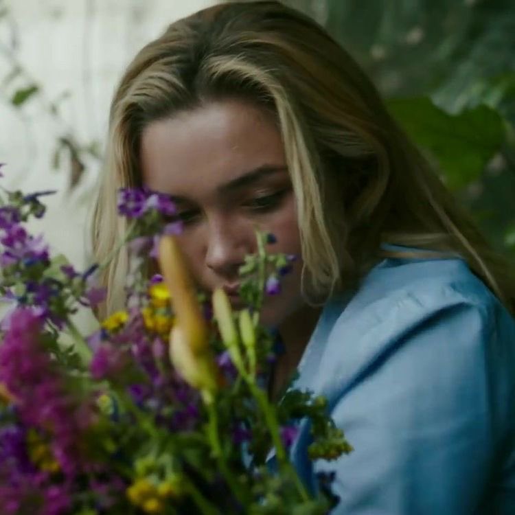 best of florence pugh tweet media