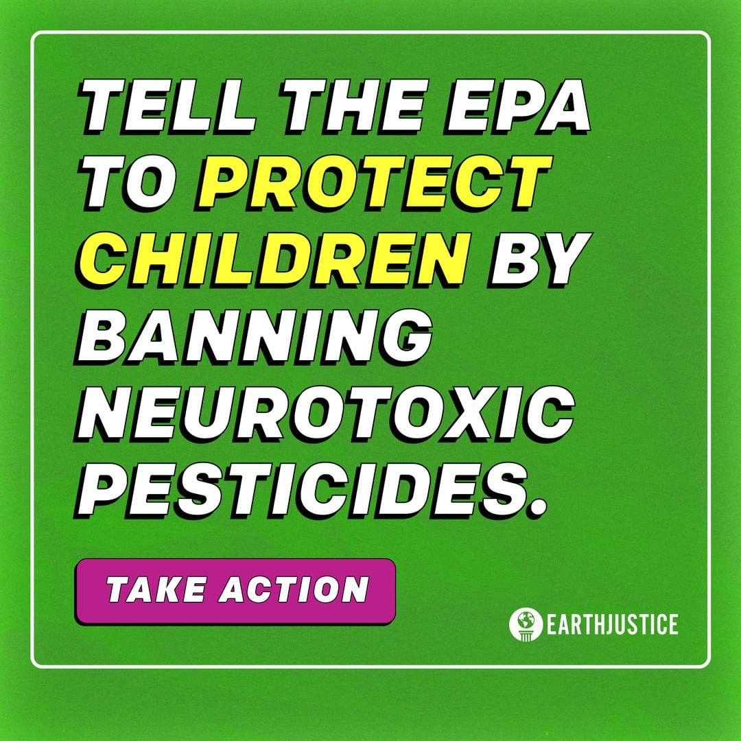 Can You Hear Us? (@cyhumovement) on Twitter photo CALL TO ACTION!
Eating produce sprayed with organophosphate pesticides can lead to reduced IQ, loss of working memory, and attention deficit disorders.
📲Text TOXIC to 43428 to join us in calling on the EPA to ban organophosphates.
Graphic from <a href="/Earthjustice/">Earthjustice</a> CALL TO ACTION!
Eating produce sprayed with organophosphate pesticides can lead to reduced IQ, loss of working memory, and attention deficit disorders.
📲Text TOXIC to 43428 to join us in calling on the EPA to ban organophosphates.
Graphic from <a href="/Earthjustice/">Earthjustice</a>