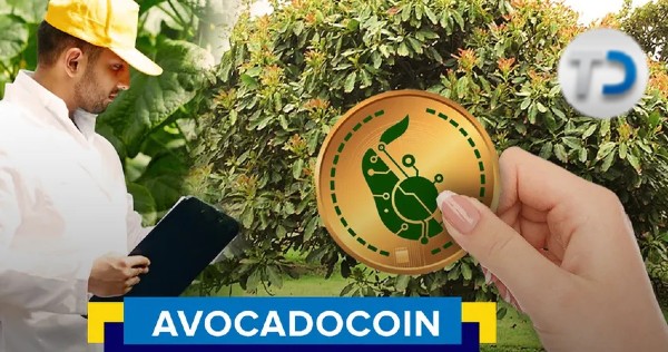 telediario's tweet photo. ¿Una moneda de aguacate? Así es, se trata de #AvocadoCoin, la criptomoneda respaldada por el 'oro verde' 🥑
https://t.co/ZeI4peF6hf https://t.co/1GPORzcogH