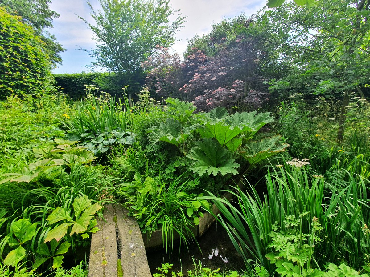 OneDeadBrit's tweet image. If your not into green...look away