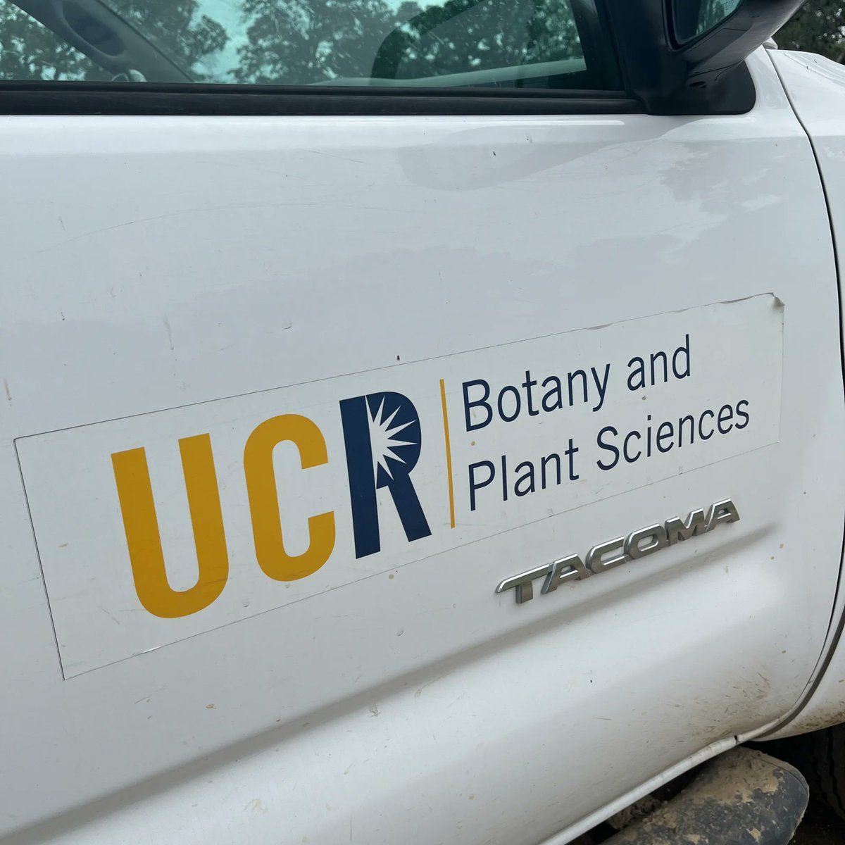 Sierra Foothill Research and Extension Center (@ucrecsierra) on Twitter photo Did you know SFREC hosts collaborators from all across the state? @StuartSchwab comes all the way from <a href="/UCRiverside/">UC Riverside</a> to study how native plants are established in the presence of fungal partners. Did you know SFREC hosts collaborators from all across the state? @StuartSchwab comes all the way from <a href="/UCRiverside/">UC Riverside</a> to study how native plants are established in the presence of fungal partners.